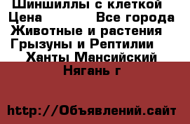 Шиншиллы с клеткой › Цена ­ 8 000 - Все города Животные и растения » Грызуны и Рептилии   . Ханты-Мансийский,Нягань г.